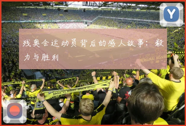 残奥会运动员背后的感人故事:毅力与胜利