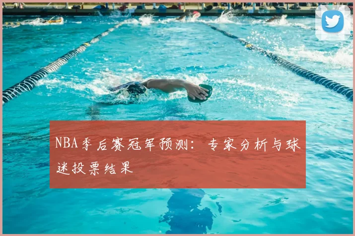 NBA季后赛冠军预测:专家分析与球迷投票结果