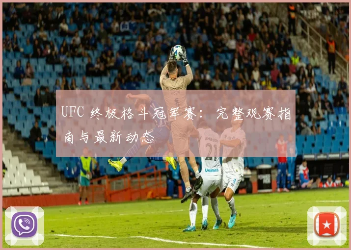 UFC 终极格斗冠军赛:完整观赛指南与最新动态