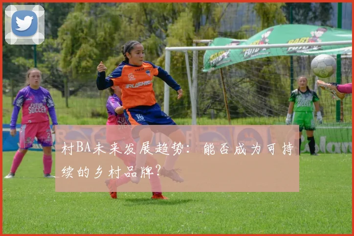 村BA未来发展趋势:能否成为可持续的乡村品牌?